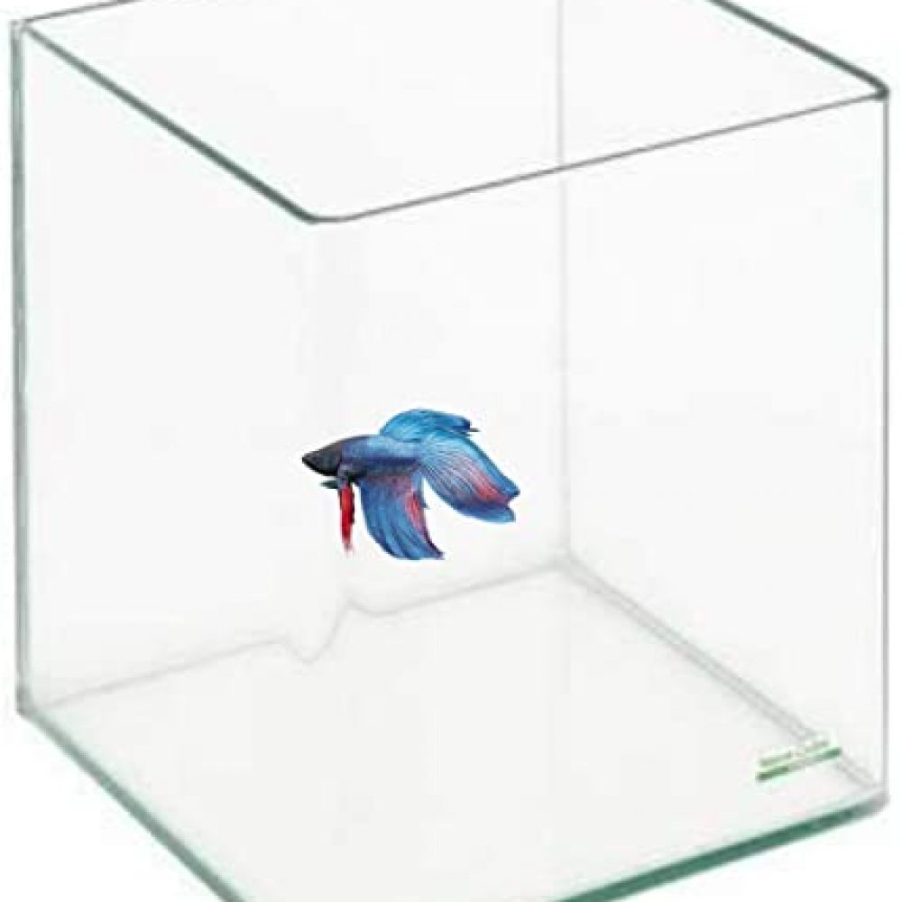 BURAQ Curved Moulded Betta Fish Tank Tempered Crystal Clear Glass Fishes Aquarium (20 x15 x15 cm)