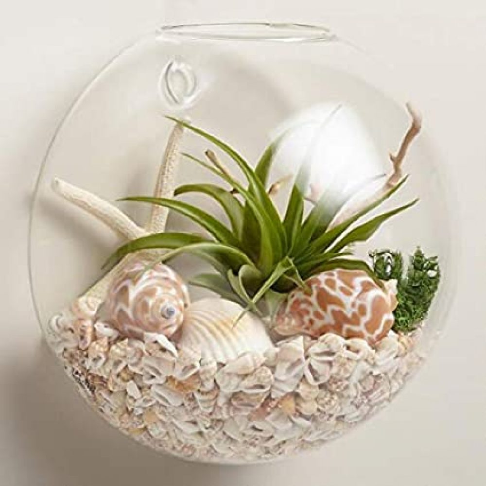 Jainsons Pet Products Round Transparent Crystal Glass Zig Zag Neck Bowl Clear Sphere Vase Fish Tank Water Jar with Lotus