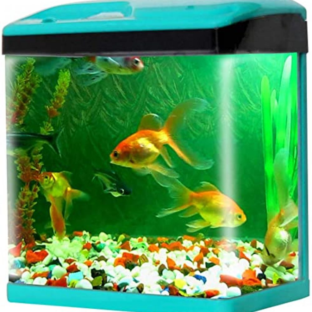 JAINSONS PET PRODUCTS Fish Aquarium Combo Tank Capacity (Colour May Vary, 28 L)
