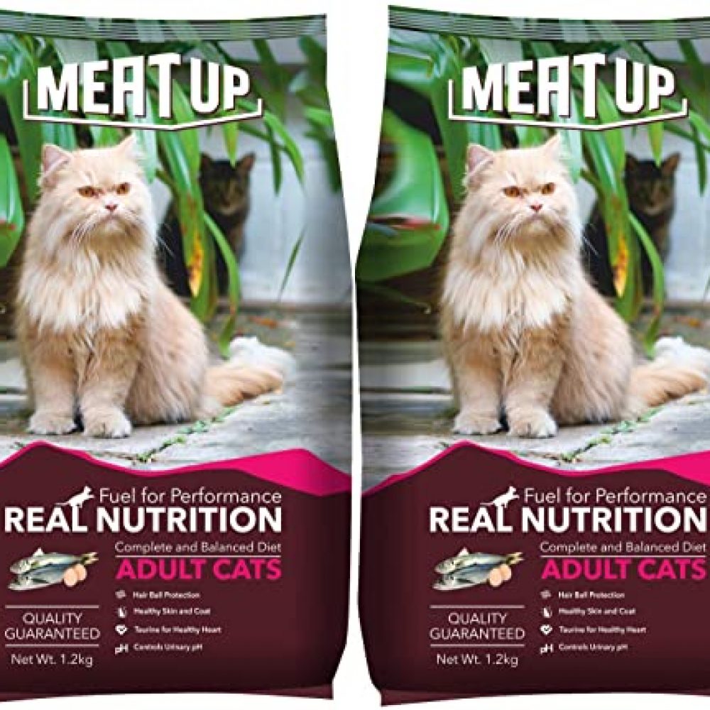 Meat Up Kitten(1-12 months) Dry Cat Food, Ocean Fish, 1.2kg (BUY 1 GET 1 FREE)