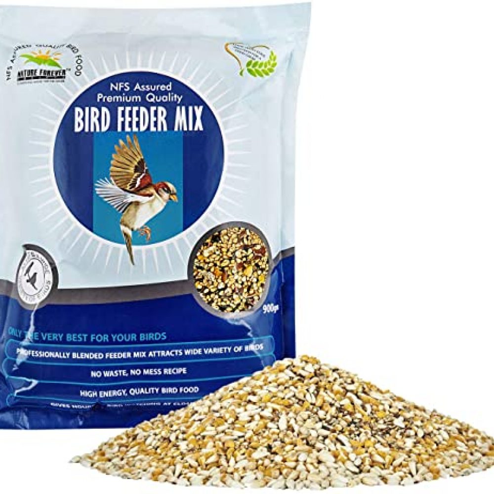 Nature Forever Bird Feeder Mix, 900 g