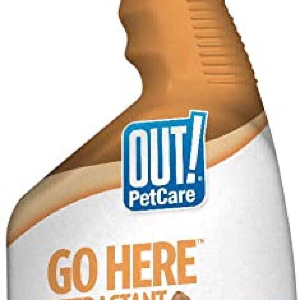 OUT! Go Here Attractant Indoor & Outdoor Dog Training Spray, 32 oz