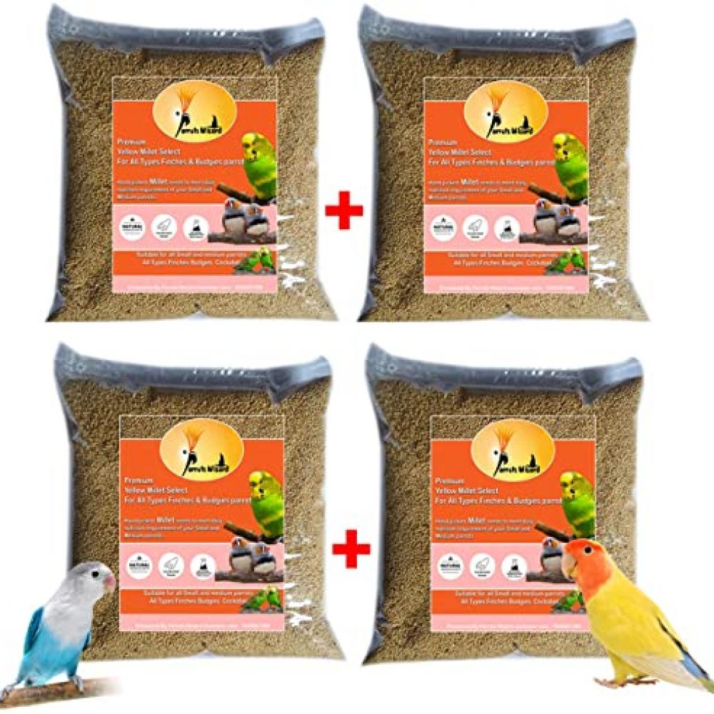 Parrots Wizard Kangni Seed Bird Food Pack – 4 (Each Pack – 950 Grams)