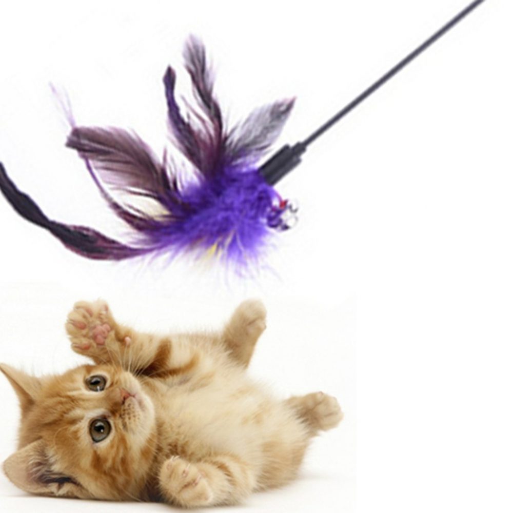 Sage Square 50 cm Jumbo Size Pet Friendly Cat Toy/Feather Teaser Stick/Training Toy for Cat/Kitten/Puppy (1 Pcs)
