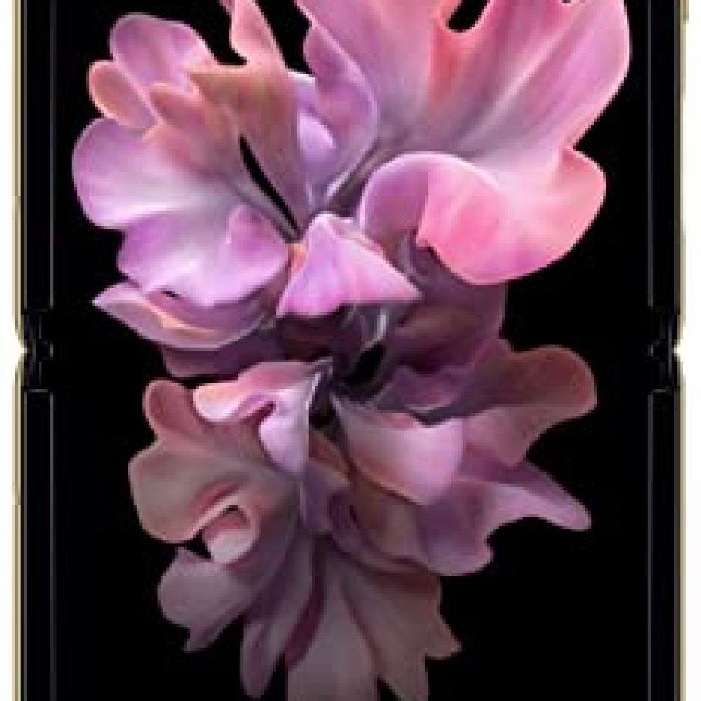 Samsung Galaxy Z Flip (Gold, 8GB RAM, 256GB Storage)