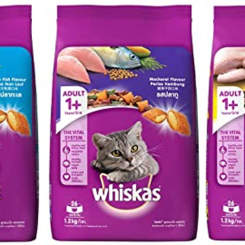 Whiskas Adult (+1 Year) Dry Cat Food, Ocean Fish Flavour, 1.2kg Pack & Adult (+1 Year) Dry Cat Food, Chicken Flavour, 1.2kg Pack & Adult (+1 Year) Dry Cat Food, Mackerel Flavour, 1.2kg Pack