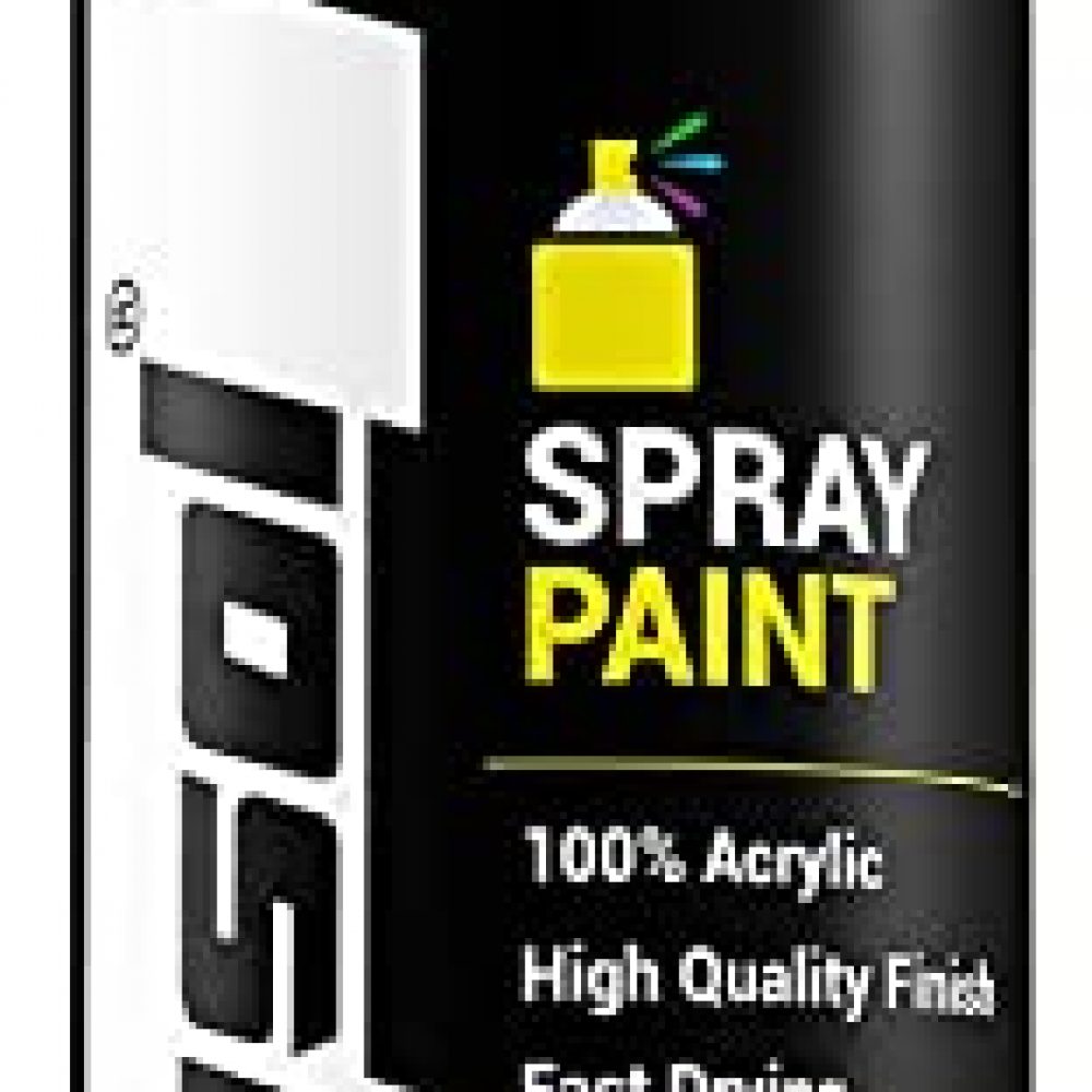MAGSOL Spray Paint Black- Multipurpose Use Spray Paint For Car and Bike (400ml, Black)